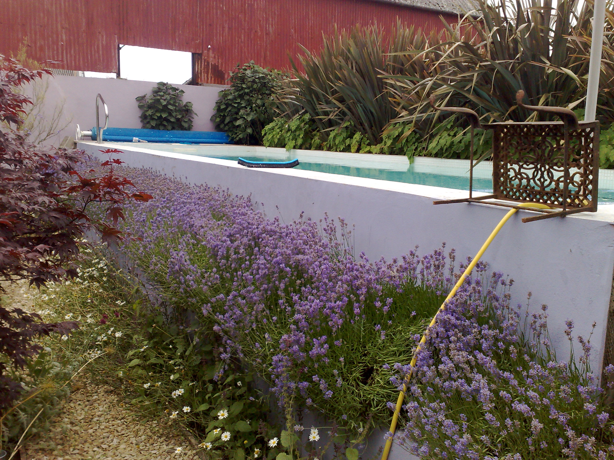 Outdoor-pools-liner-tiled-auromatic-slatted-safety-covers (1).jpg