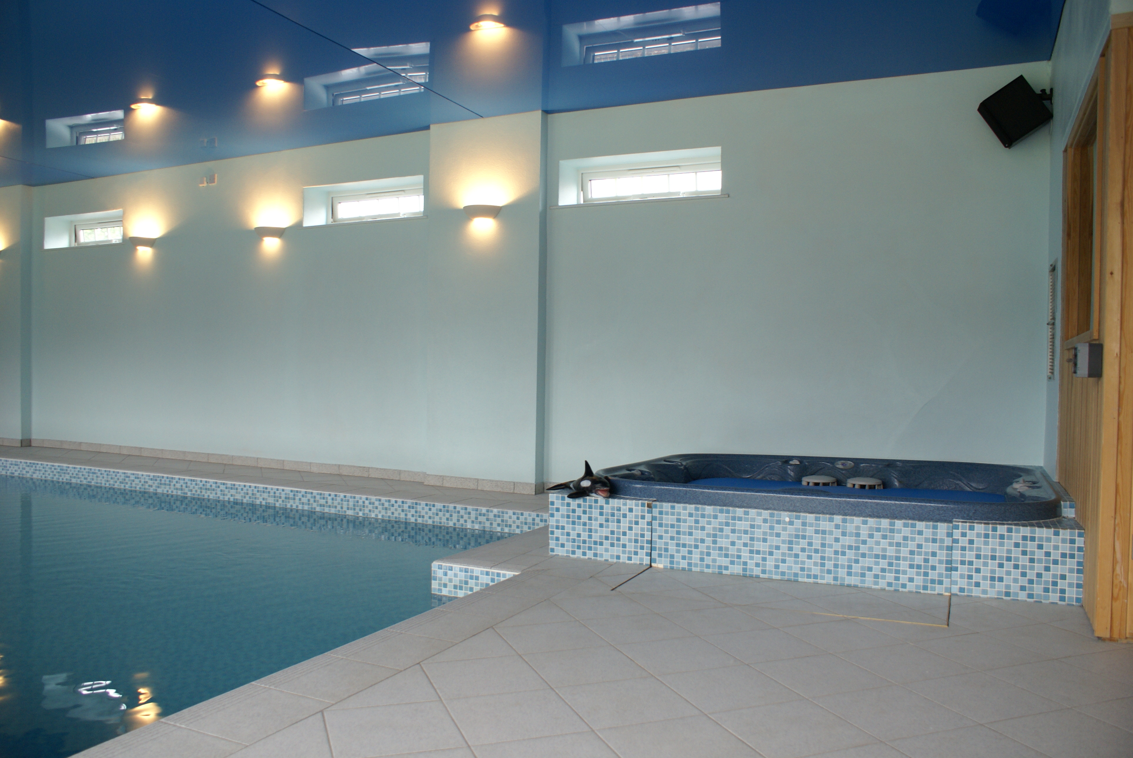 Indoor-tiled-pool-roldeck-badu-marquis-spa-sauna-tylo (7).JPG